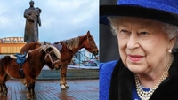 Коні, поні та улюблена собака королеви Єлизавети – в центрі Рівного (6 ФОТО)
