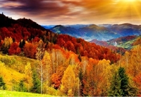 15 неймовірних осінніх пейзажів у різних куточках України (ФОТО)