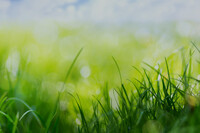 16 квітня - Велика середа: звичаї, прикмети та заборони дня