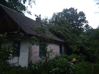 На оселю мешканців Рівненщини впало дерево і пошкодило дах (ФОТО) 