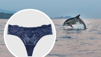 Дельфін загинув через жіночі труси (ФОТО 18+)