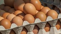 Такі яйця краще не купувати: небезпечну ознаку легко пропустити