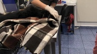 П’яний господар викинув собаку з вікна багатоповерхівки: тварина загинула