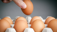Золоті яйця: 60 грн/десяток – не межа? Що буде з цінами