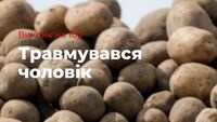 Жертва картоплі: на Рівненщині на чоловіка перекинувся завантажений віз