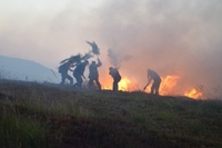 За минулу добу на Рівненщині ліквідували п’ять пожеж