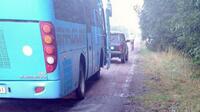 Водій автобуса збив ДВОХ велосипедистів на Житомирщині (ФОТО)