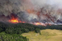 Лісівники Рівненщини оголосили про початок пожежонебезпечного періоду