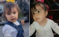 Двічі зупинялося дихання: 2-річна дівчинка померла, з'ївши отруєне печиво, яким хотіли вбити собаку