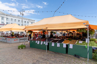 Європа зараз божеволіє від «дамського пальчика»: овоч, що лікує кишківник та зміцнює кістки 