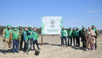 Рівненщина озеленена: в області посадили близько 300 тисяч дерев (ФОТО)