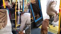 «Вийшов і забрав собаку»: у Рівному з тролейбуса вигнали чоловіка з песиком (ВІДЕО)