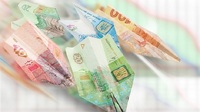 Проблеми із виплатами для ВПО: Міністр зробила важливу заяву