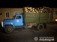 На Рівненщині затримали вантажівку з деревиною без чипів 