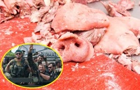 Тік-ток-війська не розуміють, на що підписалися: «кадирівців» в Україні ховатимуть у свинячих шкурах