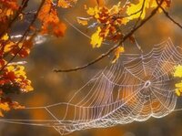 Що потрібно спалити 13 жовтня, щоб позбутися хвороб та негараздів: народні прикмети