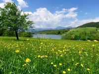 Наближається тривале потепління: Коли зміниться погода