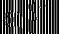 Оптична ілюзія від якої аж в очах «ряботить»: Знайдіть тварину за 5 секунд (ФОТО)