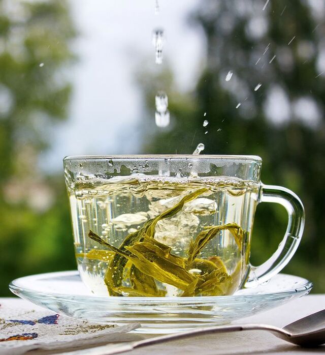Зелений чай і здоров'я: наслідки надмірного споживання