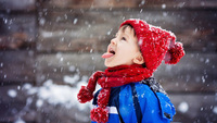 Ожеледиця та налипання мокрого снігу: якою на Рівненщині буде погода на Різдво