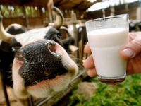 Чому 27 січня потрібно пити молоко: народні прикмети