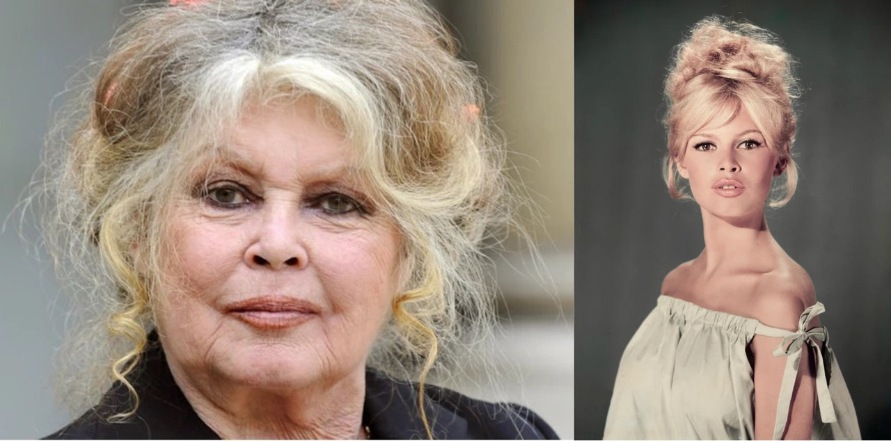 «Прекрасна Бриджіт»: Померла акторка Бриджіт Бардо. Їй був 91 рік (ФОТО/ВІДЕО)