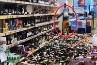 Безробітна у супермаркеті розбила сотні пляшок алкоголю на понад £10 000 (ВІДЕО)
