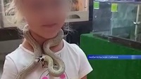 Жахливий інцидент: 5-річну дівчинку за обличчя вкусила змія у зоопарку (ФОТО)