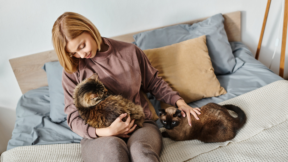 Фото - depositphotos