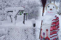 До 13 сантиметрів снігу випало на Рівненщині: в яких районах намело найбільше 