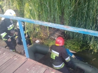 В Рівному у водоймі Гідропарку втопився чоловік (ФОТО)