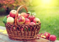 Кого 19 серпня треба обов'язково пригостити яблуками: народні прикмети