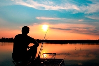 8-кілограмового красеня-судака спіймав вночі на Рівненщині рибалка (ФОТО/ВІДЕО)