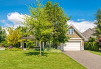 Липа біля хати - до щастя чи до біди? Народні прикмети і заборони