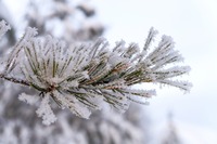 Що приносили в дім 27 лютого, щоб увесь рік не хворіти: народні прикмети