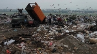 Поліція не бачила львівського сміття на Рівненщині