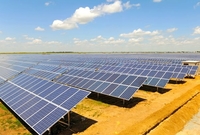 На Рівненщині збудують чималу сонячну електростанцію