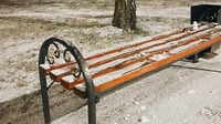 Перший сніг випав в Україні (ФОТО)