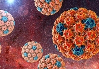 Гінеколог з Рівного розповіла, який вірус провокує рак і у жінок, і у чоловіків