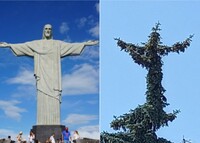 На дереві у Луцьку побачили Статую Христа-Спасителя із Ріо-де-Жанейро (ФОТО) 