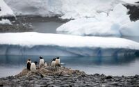 Антарктида стрімко тане: У чому небезпека
