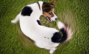 Фото ілюстративне, з відкритих джерел