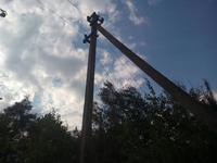 На Рівненщині крадії дерев знеструмили село (ФОТО) 