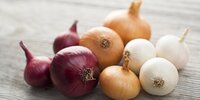 Ціни на цибулю стрімко пішли вниз: скільки зараз коштує кілограм в Україні?