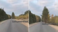 «Автобан!»: водій радіє відремонтованій дорозі до Білого озера (ВІДЕО)