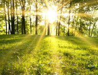 Яким буде літо: З’явився перший прогноз на ближчі місяці