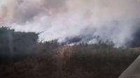 Величезна пожежа насувається з Білорусі на Рівненщину (ВІДЕО) 