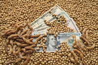 Ніхто не хоче з ГМО: іноземці готові доплачувати за українську сою без ГМО премію у 5 $/т