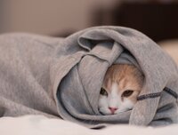 Погода виходить із «режиму спокою»: Синоптик попередив про зміни