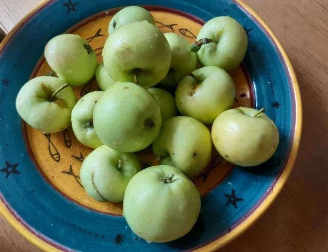 Конкретно ці яблука були куплені за 60 грн.